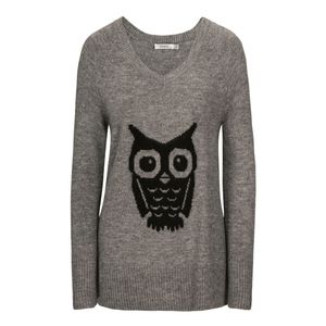 ✨3/$15 Ricki's | Owl V-Neck Sweater